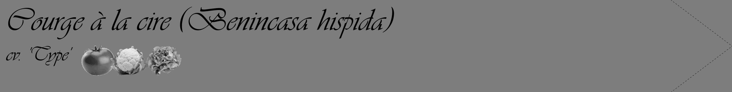 Étiquette de : Benincasa hispida cv. 'Type' - format c - style noire35_simple_simpleviv avec comestibilité simplifiée