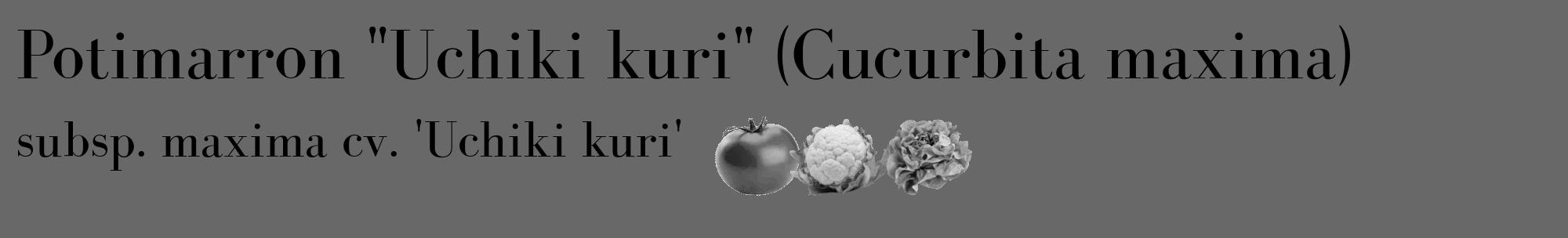 Étiquette de : Cucurbita maxima subsp. maxima cv. 'Uchiki kuri' - format c - style noire6_basique_basiquebod avec comestibilité simplifiée