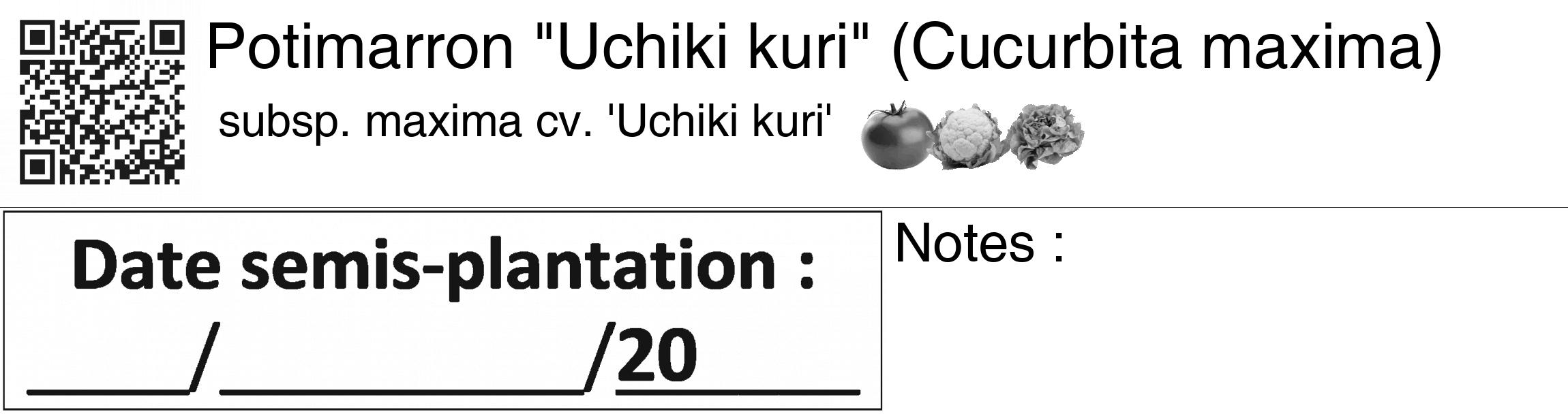 Étiquette de : Cucurbita maxima subsp. maxima cv. 'Uchiki kuri' - format c - style noire60_basiquegrrvhel avec qrcode et comestibilité simplifiée