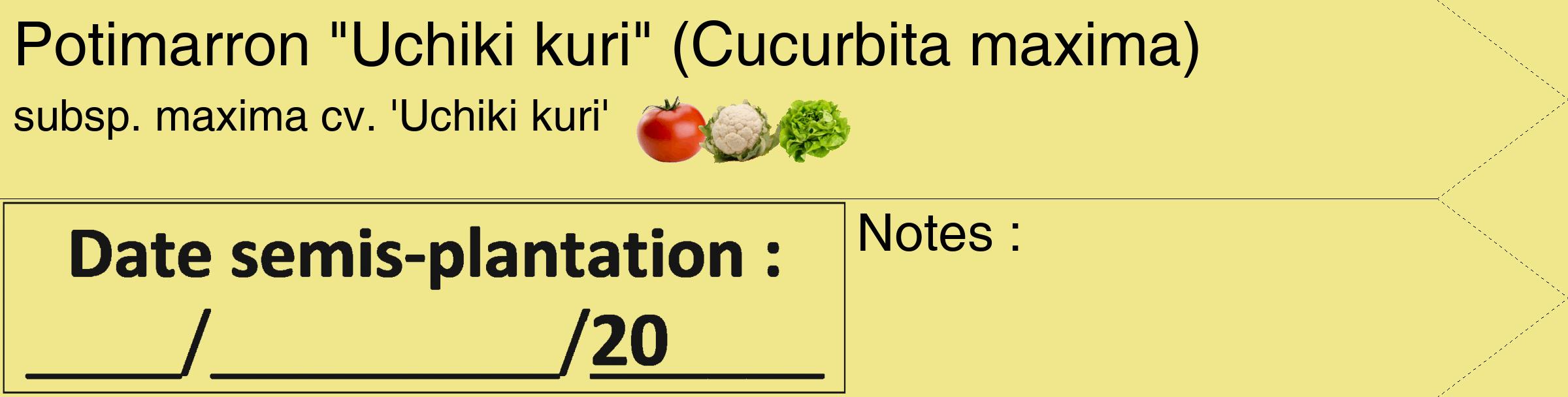 Étiquette de : Cucurbita maxima subsp. maxima cv. 'Uchiki kuri' - format c - style noire20_simple_simplehel avec comestibilité simplifiée