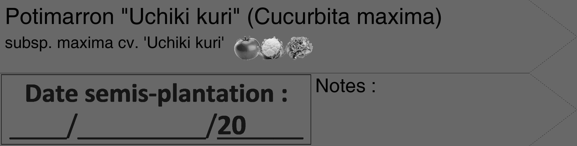 Étiquette de : Cucurbita maxima subsp. maxima cv. 'Uchiki kuri' - format c - style noire6_simple_simplehel avec comestibilité simplifiée