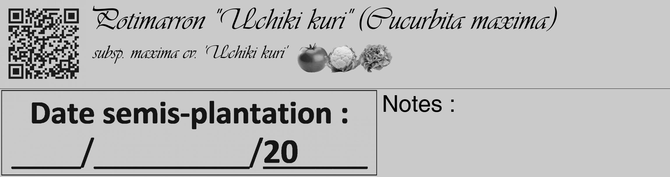 Étiquette de : Cucurbita maxima subsp. maxima cv. 'Uchiki kuri' - format c - style noire21basique_basique_basiqueviv avec qrcode et comestibilité simplifiée