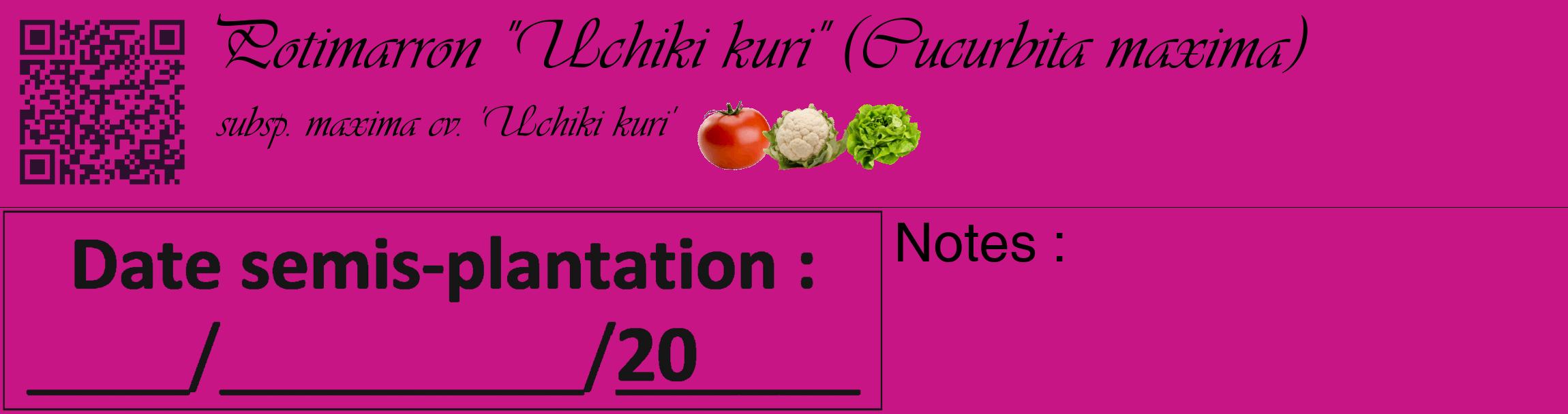 Étiquette de : Cucurbita maxima subsp. maxima cv. 'Uchiki kuri' - format c - style noire45_basique_basiqueviv avec qrcode et comestibilité simplifiée