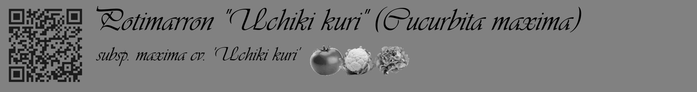 Étiquette de : Cucurbita maxima subsp. maxima cv. 'Uchiki kuri' - format c - style noire50_basique_basiqueviv avec qrcode et comestibilité simplifiée