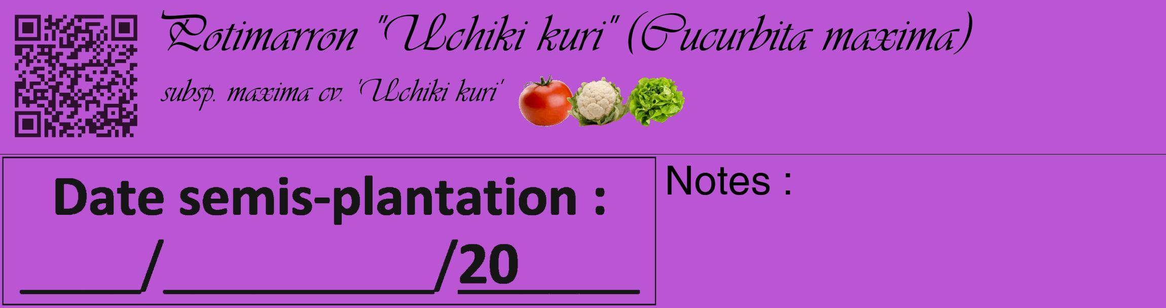 Étiquette de : Cucurbita maxima subsp. maxima cv. 'Uchiki kuri' - format c - style noire50_basique_basiqueviv avec qrcode et comestibilité simplifiée
