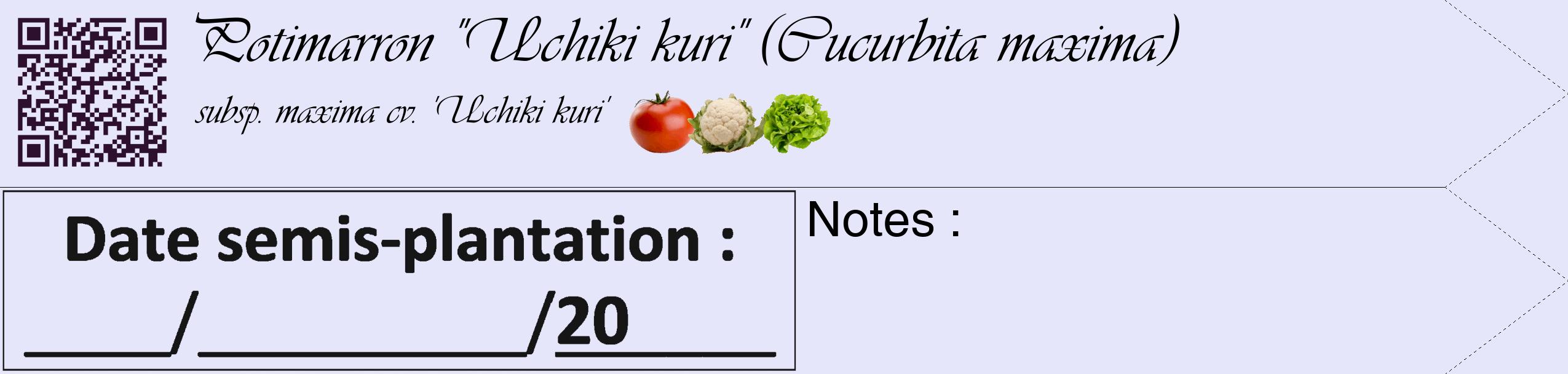 Étiquette de : Cucurbita maxima subsp. maxima cv. 'Uchiki kuri' - format c - style noire55_simple_simpleviv avec qrcode et comestibilité simplifiée