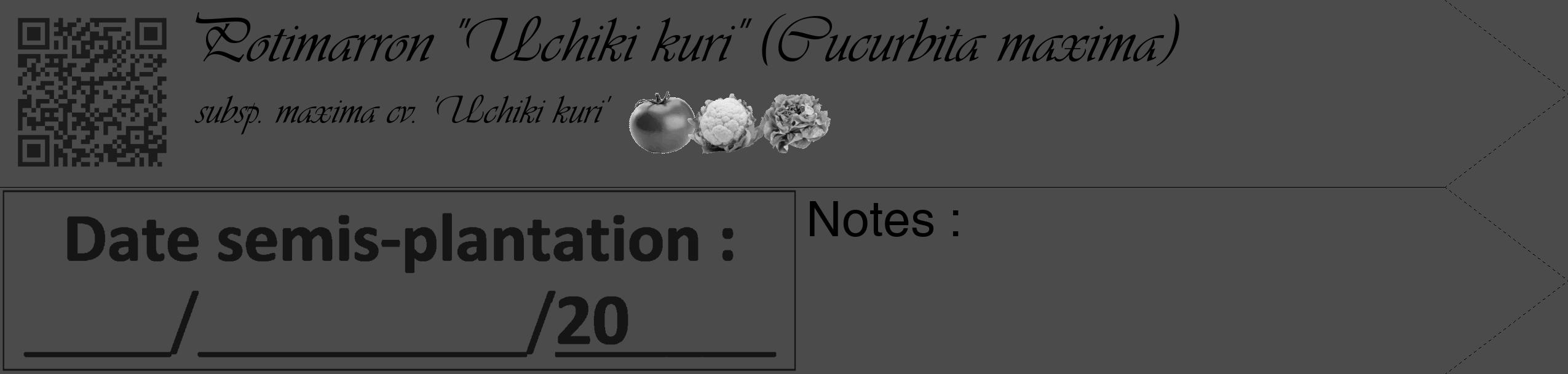 Étiquette de : Cucurbita maxima subsp. maxima cv. 'Uchiki kuri' - format c - style noire9_simple_simpleviv avec qrcode et comestibilité simplifiée