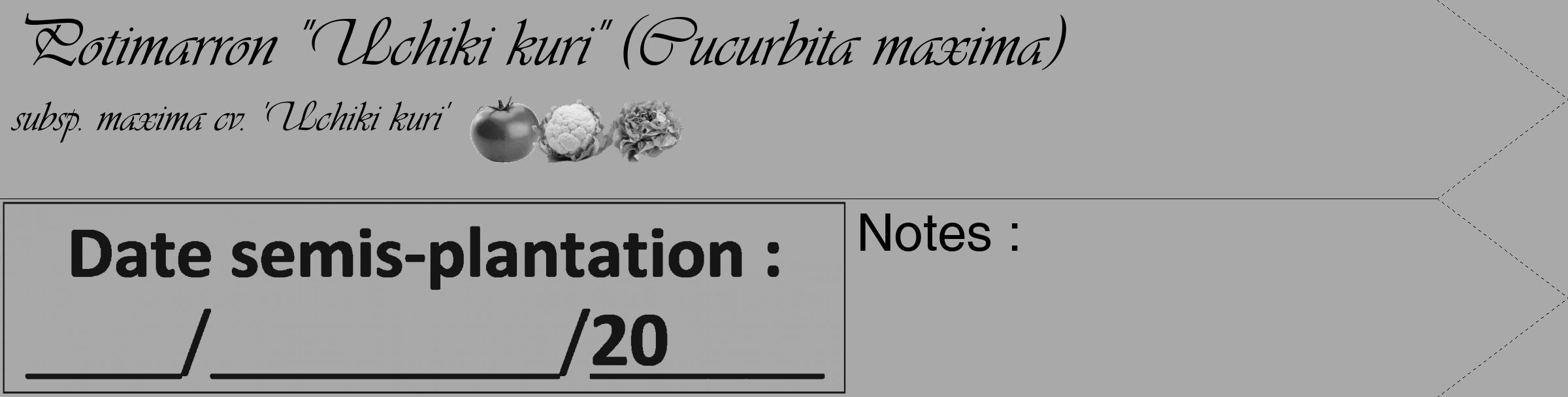 Étiquette de : Cucurbita maxima subsp. maxima cv. 'Uchiki kuri' - format c - style noire13_simple_simpleviv avec comestibilité simplifiée