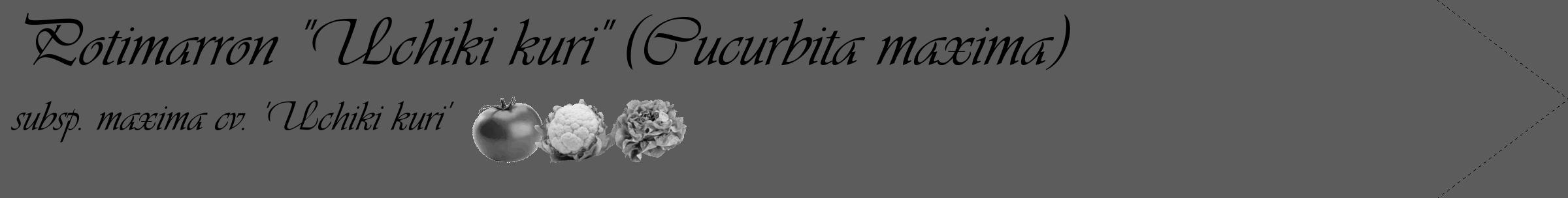 Étiquette de : Cucurbita maxima subsp. maxima cv. 'Uchiki kuri' - format c - style noire49_simple_simpleviv avec comestibilité simplifiée