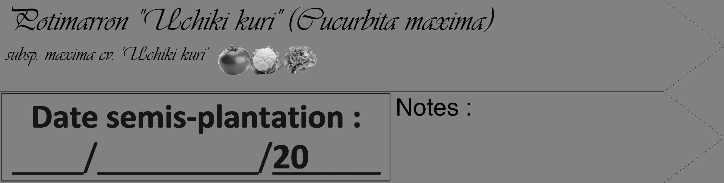 Étiquette de : Cucurbita maxima subsp. maxima cv. 'Uchiki kuri' - format c - style noire50_simple_simpleviv avec comestibilité simplifiée