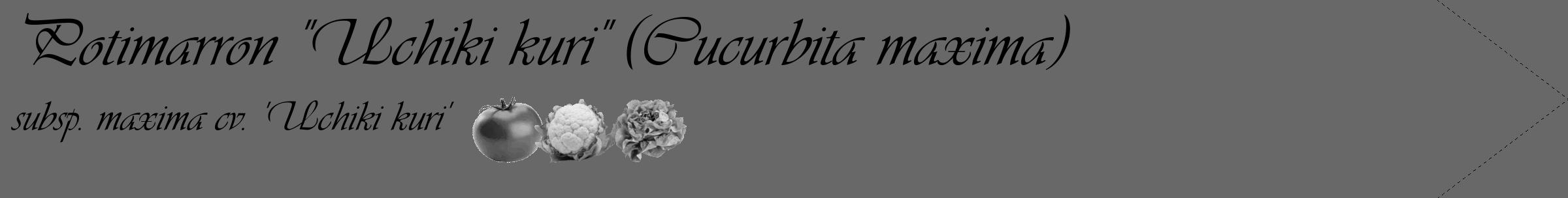 Étiquette de : Cucurbita maxima subsp. maxima cv. 'Uchiki kuri' - format c - style noire6_simple_simpleviv avec comestibilité simplifiée