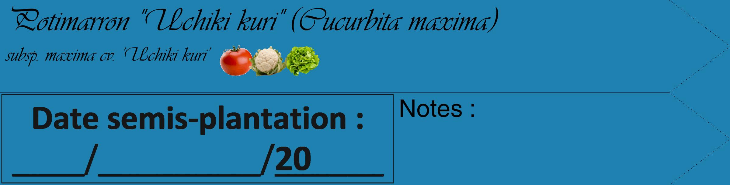 Étiquette de : Cucurbita maxima subsp. maxima cv. 'Uchiki kuri' - format c - style noire6_simple_simpleviv avec comestibilité simplifiée