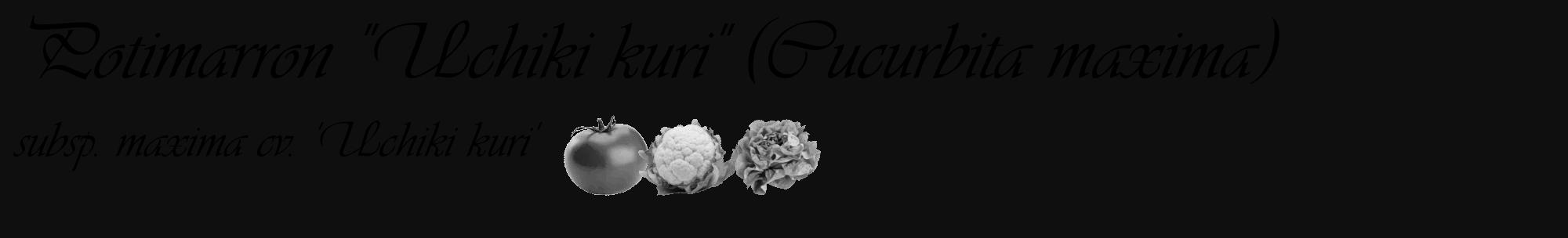 Étiquette de : Cucurbita maxima subsp. maxima cv. 'Uchiki kuri' - format c - style noire7basique_basique_basiqueviv avec comestibilité simplifiée