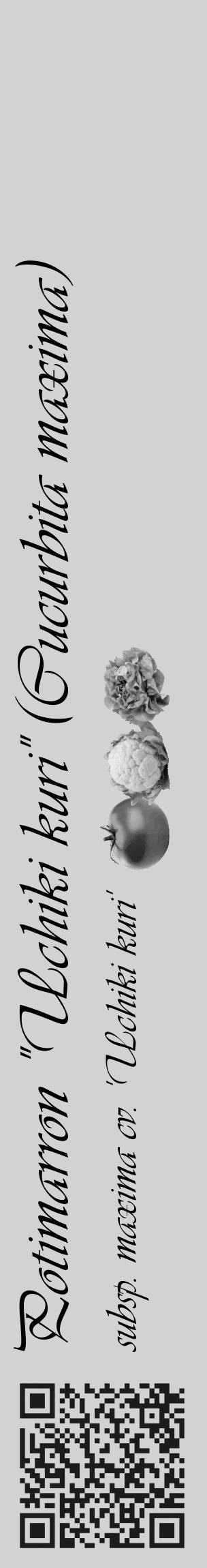 Étiquette de : Cucurbita maxima subsp. maxima cv. 'Uchiki kuri' - format c - style noire14_basique_basiqueviv avec qrcode et comestibilité simplifiée - position verticale