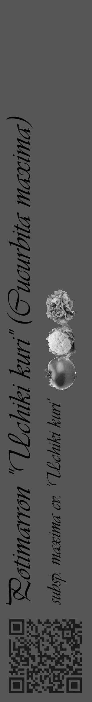 Étiquette de : Cucurbita maxima subsp. maxima cv. 'Uchiki kuri' - format c - style noire45_basique_basiqueviv avec qrcode et comestibilité simplifiée - position verticale