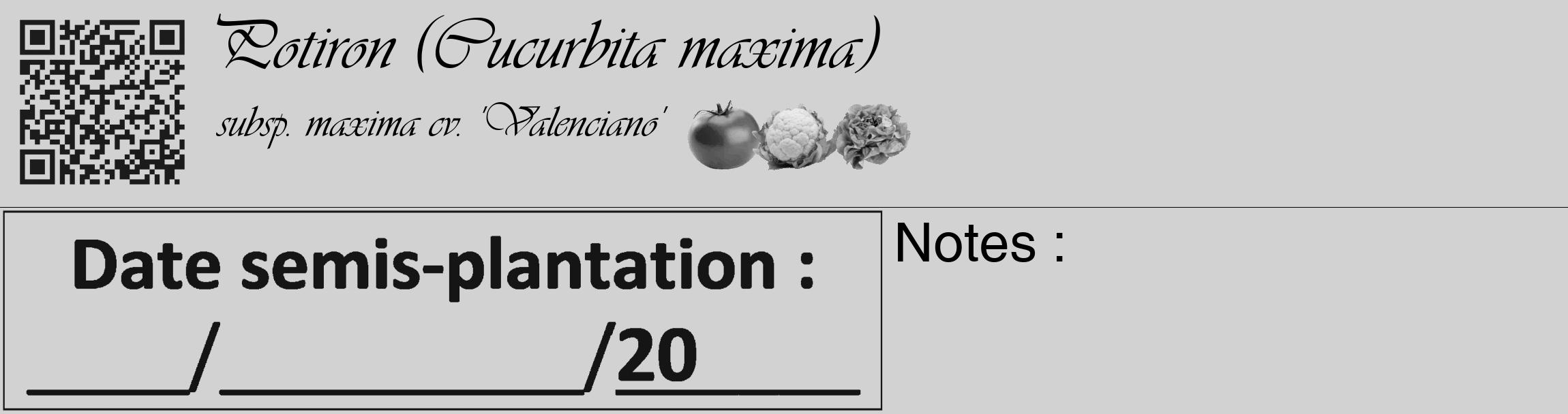 Étiquette de : Cucurbita maxima subsp. maxima cv. 'Valenciano' - format c - style noire14_basique_basiqueviv avec qrcode et comestibilité simplifiée