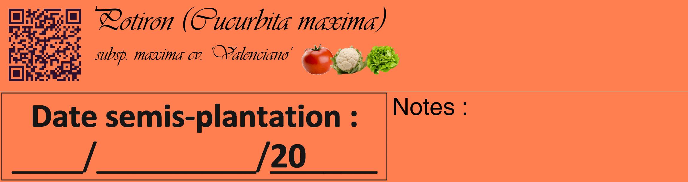 Étiquette de : Cucurbita maxima subsp. maxima cv. 'Valenciano' - format c - style noire24basique_basique_basiqueviv avec qrcode et comestibilité simplifiée
