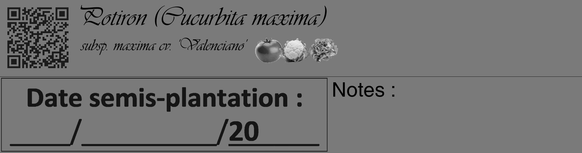Étiquette de : Cucurbita maxima subsp. maxima cv. 'Valenciano' - format c - style noire3_basique_basiqueviv avec qrcode et comestibilité simplifiée