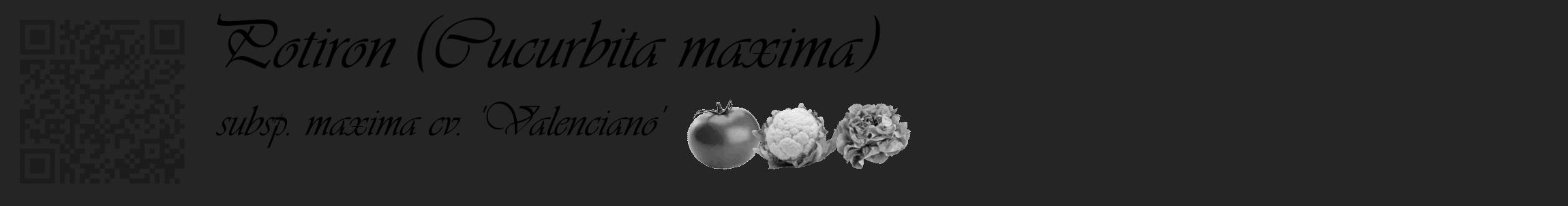 Étiquette de : Cucurbita maxima subsp. maxima cv. 'Valenciano' - format c - style noire47_basique_basiqueviv avec qrcode et comestibilité simplifiée