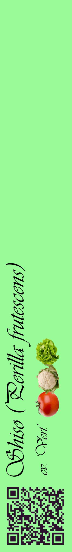 Étiquette de : Perilla frutescens cv. 'Vert' - format c - style noire14_basiqueviv avec qrcode et comestibilité simplifiée