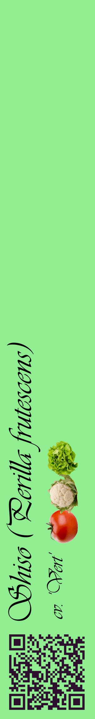 Étiquette de : Perilla frutescens cv. 'Vert' - format c - style noire15_basiqueviv avec qrcode et comestibilité simplifiée