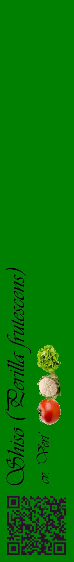 Étiquette de : Perilla frutescens cv. 'Vert' - format c - style noire9_basiqueviv avec qrcode et comestibilité simplifiée