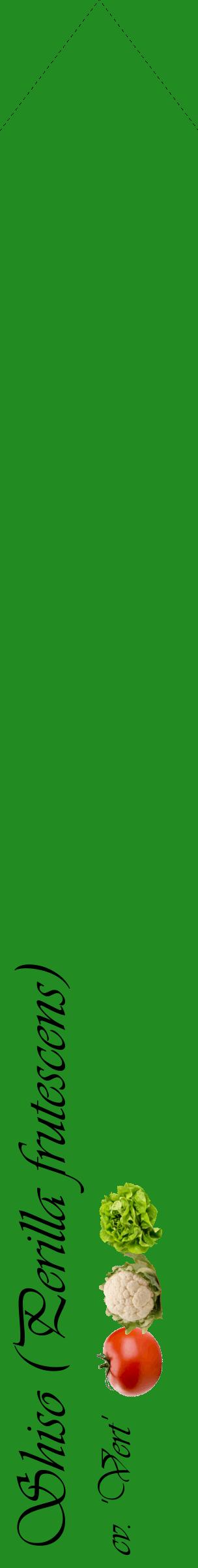 Étiquette de : Perilla frutescens cv. 'Vert' - format c - style noire10_simpleviv avec comestibilité simplifiée