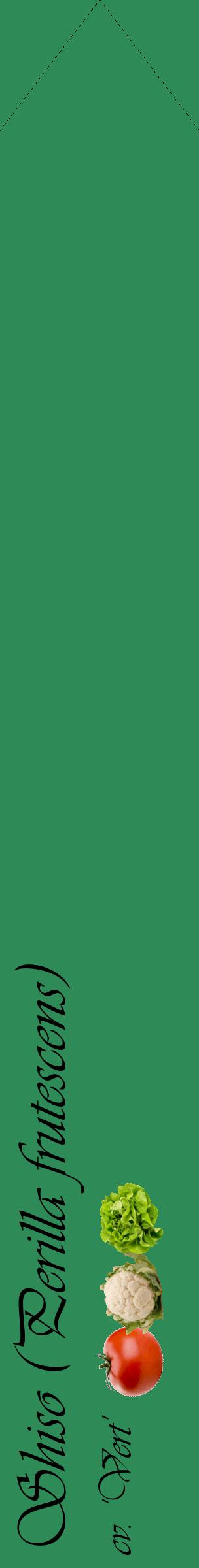 Étiquette de : Perilla frutescens cv. 'Vert' - format c - style noire11_simpleviv avec comestibilité simplifiée