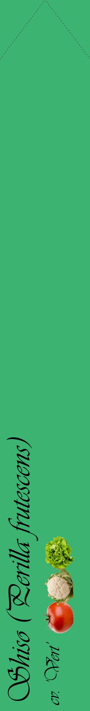 Étiquette de : Perilla frutescens cv. 'Vert' - format c - style noire12_simpleviv avec comestibilité simplifiée