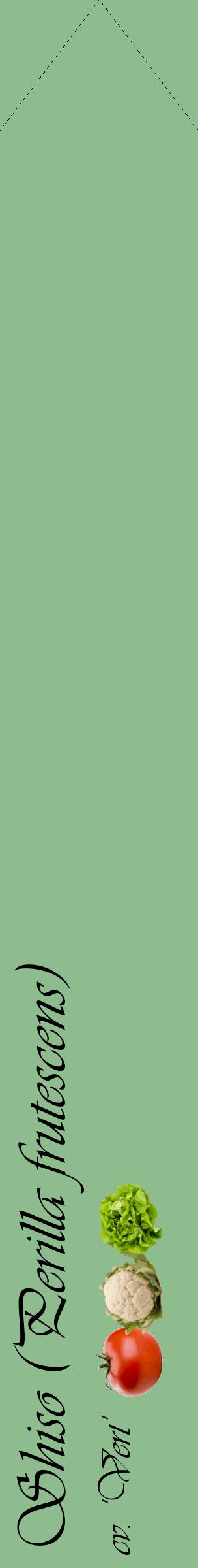 Étiquette de : Perilla frutescens cv. 'Vert' - format c - style noire13_simpleviv avec comestibilité simplifiée
