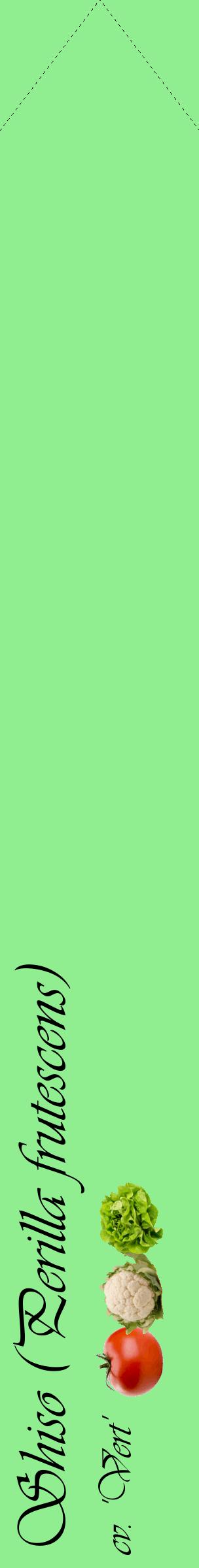 Étiquette de : Perilla frutescens cv. 'Vert' - format c - style noire15_simpleviv avec comestibilité simplifiée