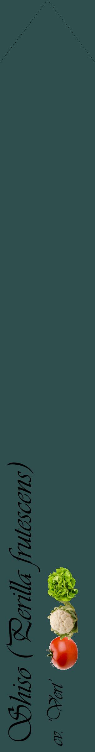 Étiquette de : Perilla frutescens cv. 'Vert' - format c - style noire58_simpleviv avec comestibilité simplifiée