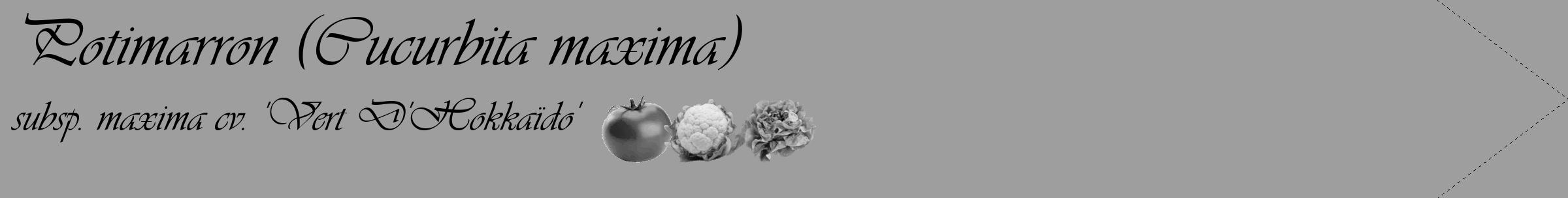 Étiquette de : Cucurbita maxima subsp. maxima cv. 'Vert D'Hokkaïdo' - format c - style noire23_simple_simpleviv avec comestibilité simplifiée