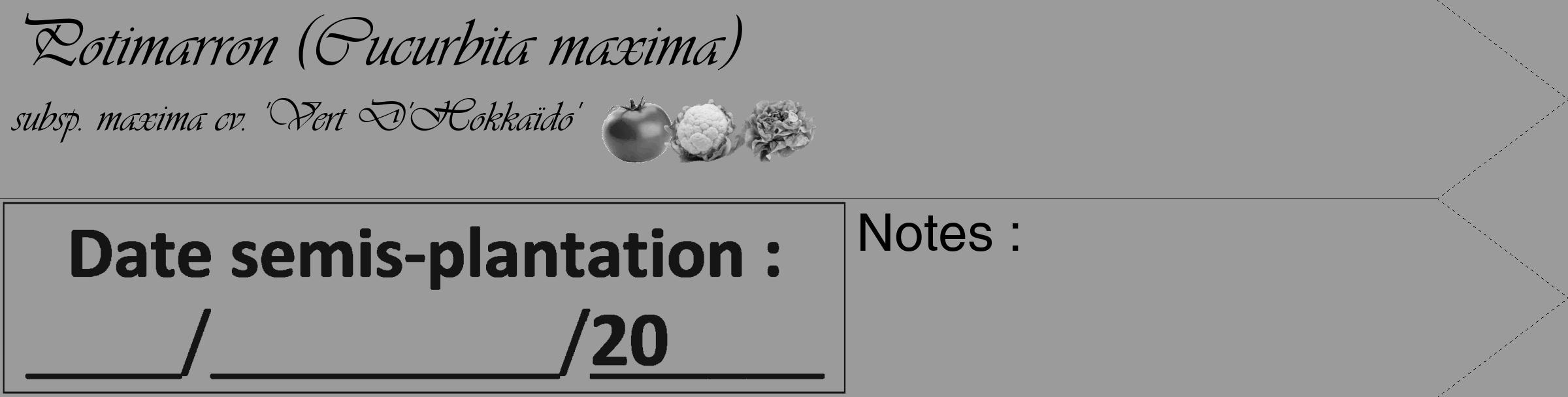 Étiquette de : Cucurbita maxima subsp. maxima cv. 'Vert D'Hokkaïdo' - format c - style noire52_simple_simpleviv avec comestibilité simplifiée