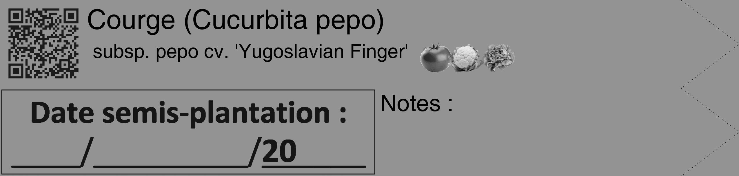 Étiquette de : Cucurbita pepo subsp. pepo cv. 'Yugoslavian Finger' - format c - style noire44_simple_simplehel avec qrcode et comestibilité simplifiée