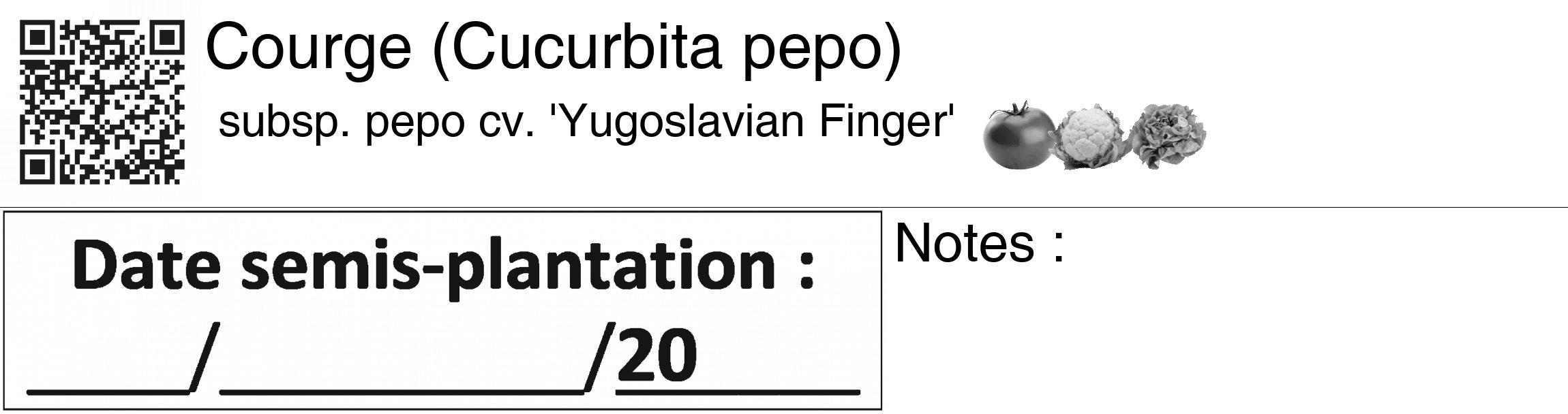 Étiquette de : Cucurbita pepo subsp. pepo cv. 'Yugoslavian Finger' - format c - style noire60_basiquegrrvhel avec qrcode et comestibilité simplifiée