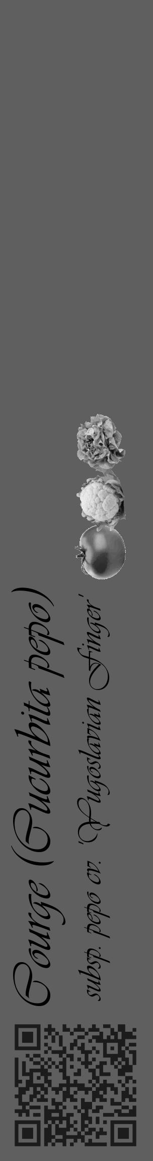 Étiquette de : Cucurbita pepo subsp. pepo cv. 'Yugoslavian Finger' - format c - style noire10_basique_basiqueviv avec qrcode et comestibilité simplifiée - position verticale