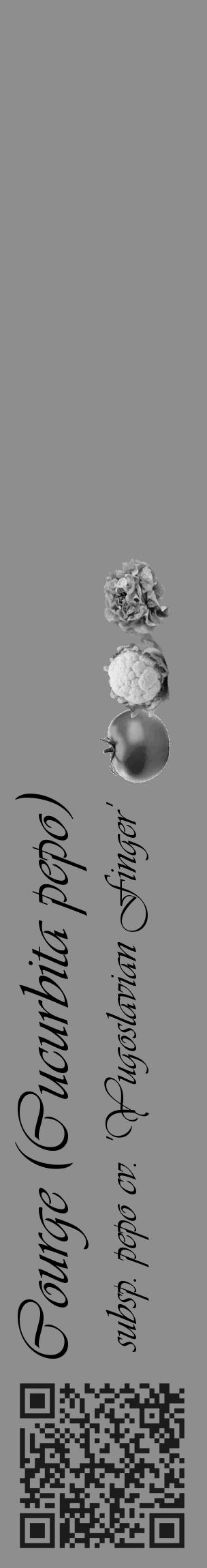 Étiquette de : Cucurbita pepo subsp. pepo cv. 'Yugoslavian Finger' - format c - style noire25_basique_basiqueviv avec qrcode et comestibilité simplifiée - position verticale