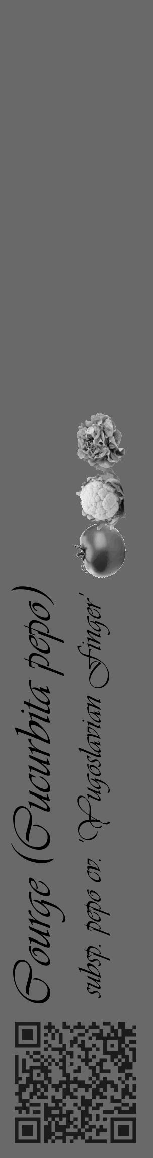 Étiquette de : Cucurbita pepo subsp. pepo cv. 'Yugoslavian Finger' - format c - style noire51_basique_basiqueviv avec qrcode et comestibilité simplifiée - position verticale