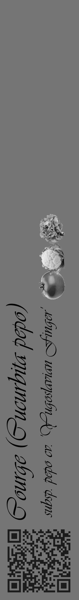 Étiquette de : Cucurbita pepo subsp. pepo cv. 'Yugoslavian Finger' - format c - style noire5_basique_basiqueviv avec qrcode et comestibilité simplifiée - position verticale