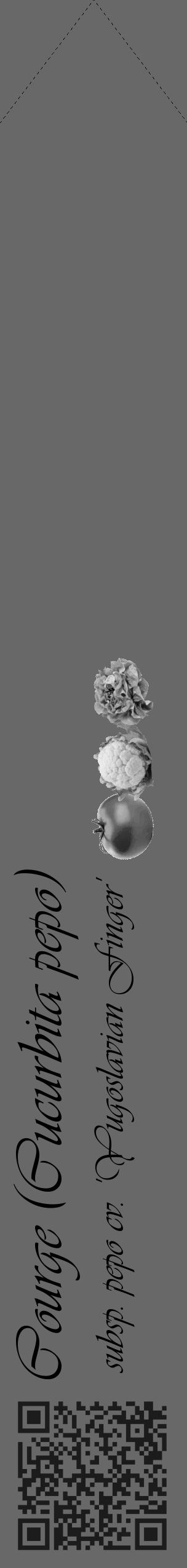 Étiquette de : Cucurbita pepo subsp. pepo cv. 'Yugoslavian Finger' - format c - style noire6simple_basique_basiqueviv avec qrcode et comestibilité simplifiée - position verticale