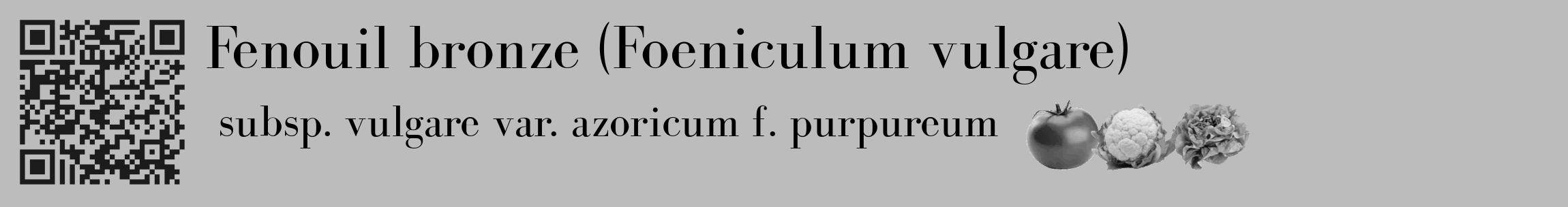 Étiquette de : Foeniculum vulgare subsp. vulgare var. azoricum f. purpureum - format c - style noire1_basique_basiquebod avec qrcode et comestibilité simplifiée