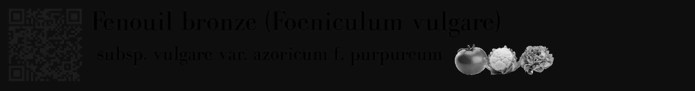 Étiquette de : Foeniculum vulgare subsp. vulgare var. azoricum f. purpureum - format c - style noire7_basique_basiquebod avec qrcode et comestibilité simplifiée