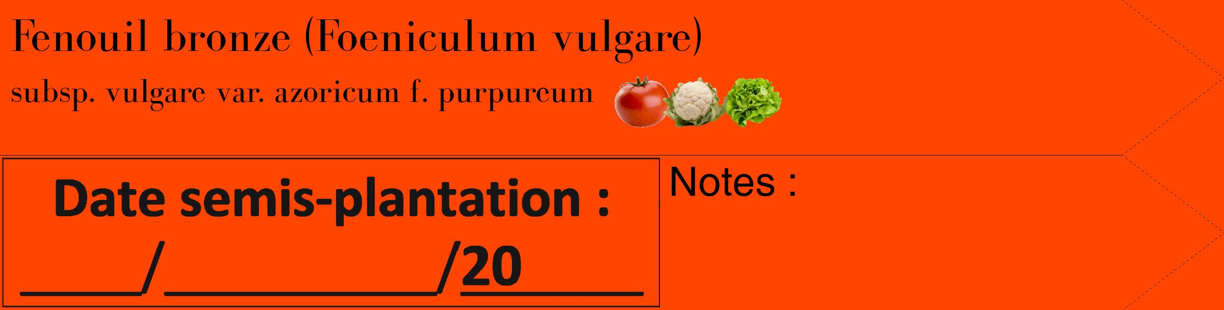Étiquette de : Foeniculum vulgare subsp. vulgare var. azoricum f. purpureum - format c - style noire26_simple_simplebod avec comestibilité simplifiée