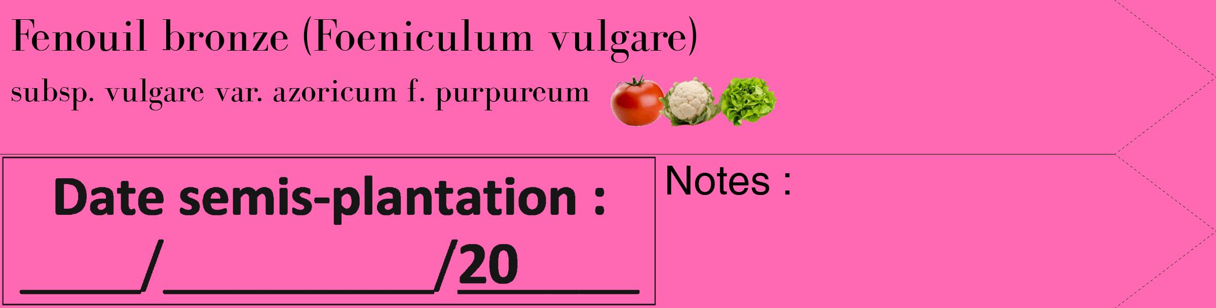 Étiquette de : Foeniculum vulgare subsp. vulgare var. azoricum f. purpureum - format c - style noire42_simple_simplebod avec comestibilité simplifiée