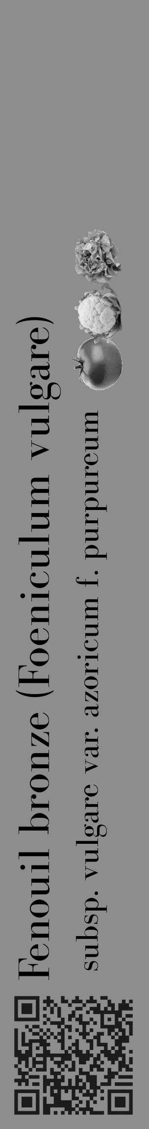 Étiquette de : Foeniculum vulgare subsp. vulgare var. azoricum f. purpureum - format c - style noire2_basique_basiquebod avec qrcode et comestibilité simplifiée - position verticale