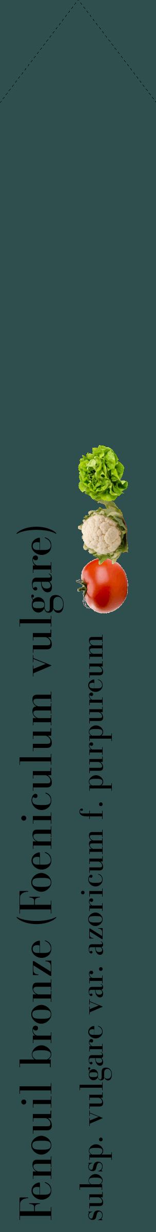 Étiquette de : Foeniculum vulgare subsp. vulgare var. azoricum f. purpureum - format c - style noire58_simplebod avec comestibilité simplifiée