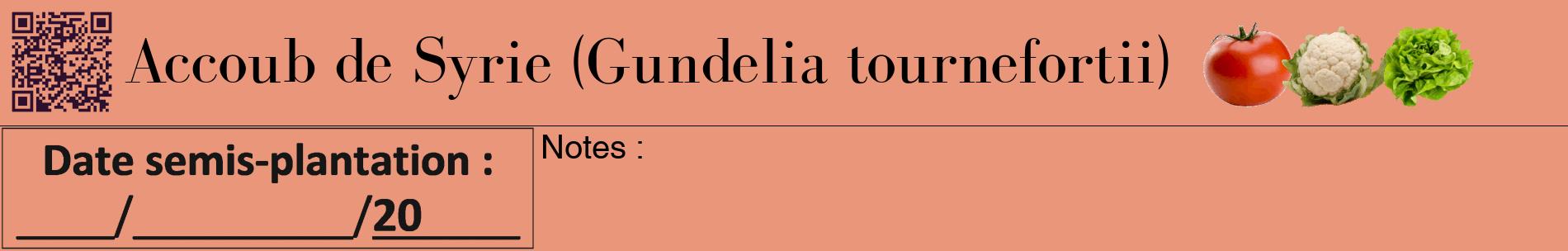 Étiquette de : Gundelia tournefortii - format a - style noire37basiquebod avec qrcode et comestibilité simplifiée