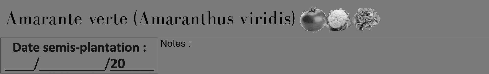 Étiquette de : Amaranthus viridis - format a - style noire3bod avec comestibilité simplifiée