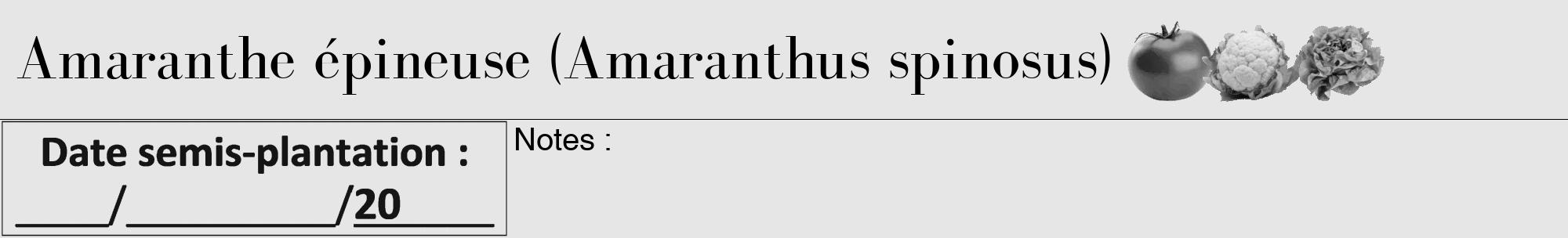 Étiquette de : Amaranthus spinosus - format a - style noire18bod avec comestibilité simplifiée